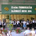 Podinovecké slávnosti 2014